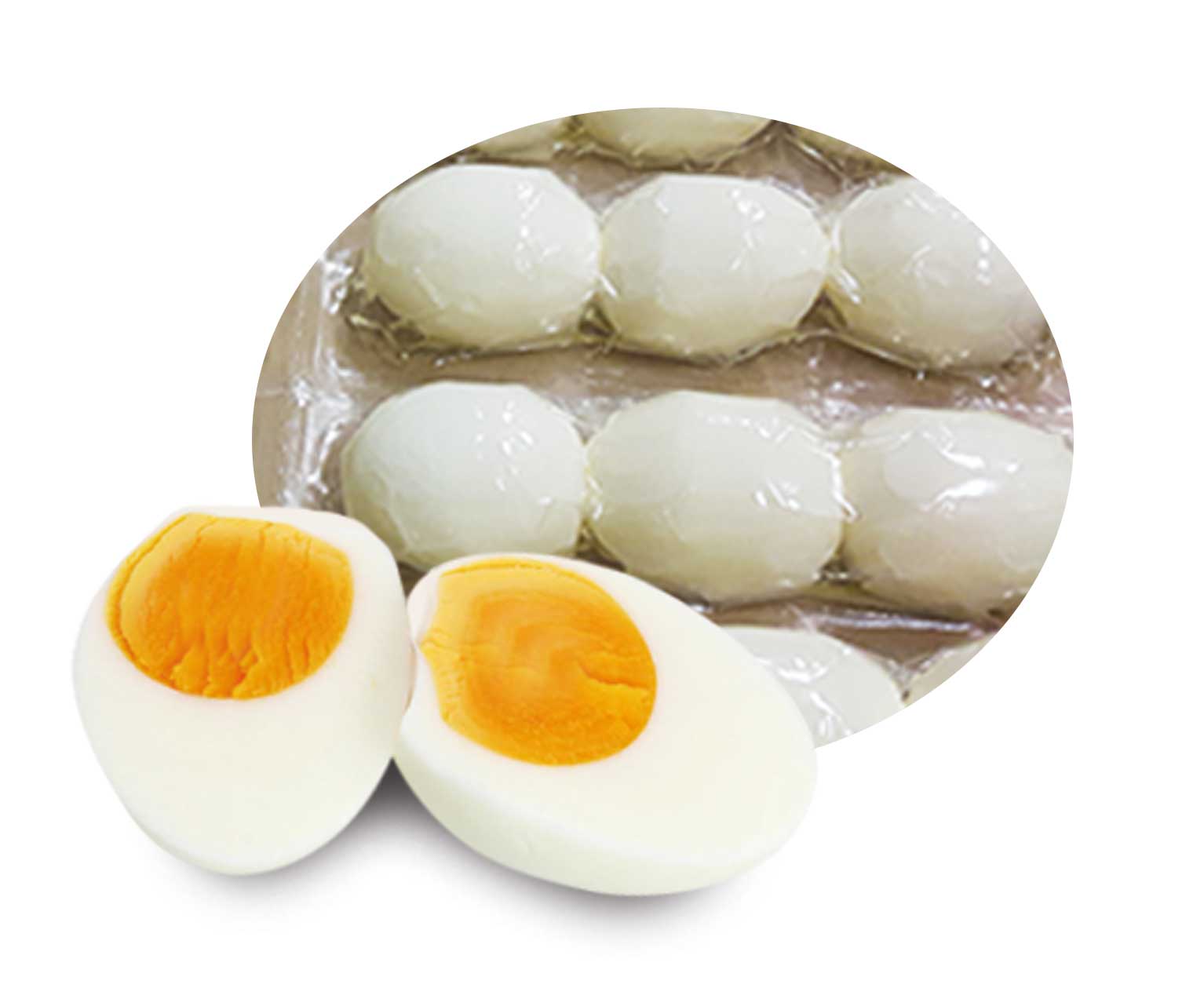 Eier gekocht in Lake Gr.S 10x3er 30er Kleingruppenhaltung