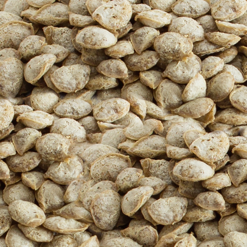 GoodMills Innovation Tartary Buckwheat Crisp 15kg