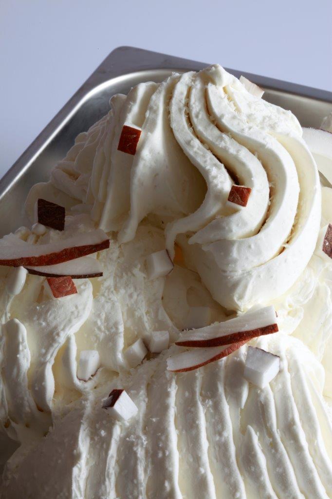 Irca Joygelato Kokos 1kg