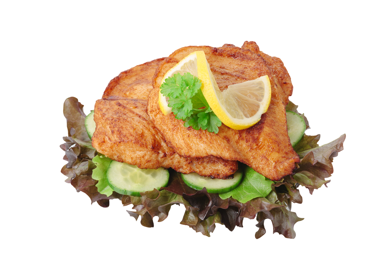 TK Apollo Hähnchenbrust gegart 2x2,5kg (120g Stücke)