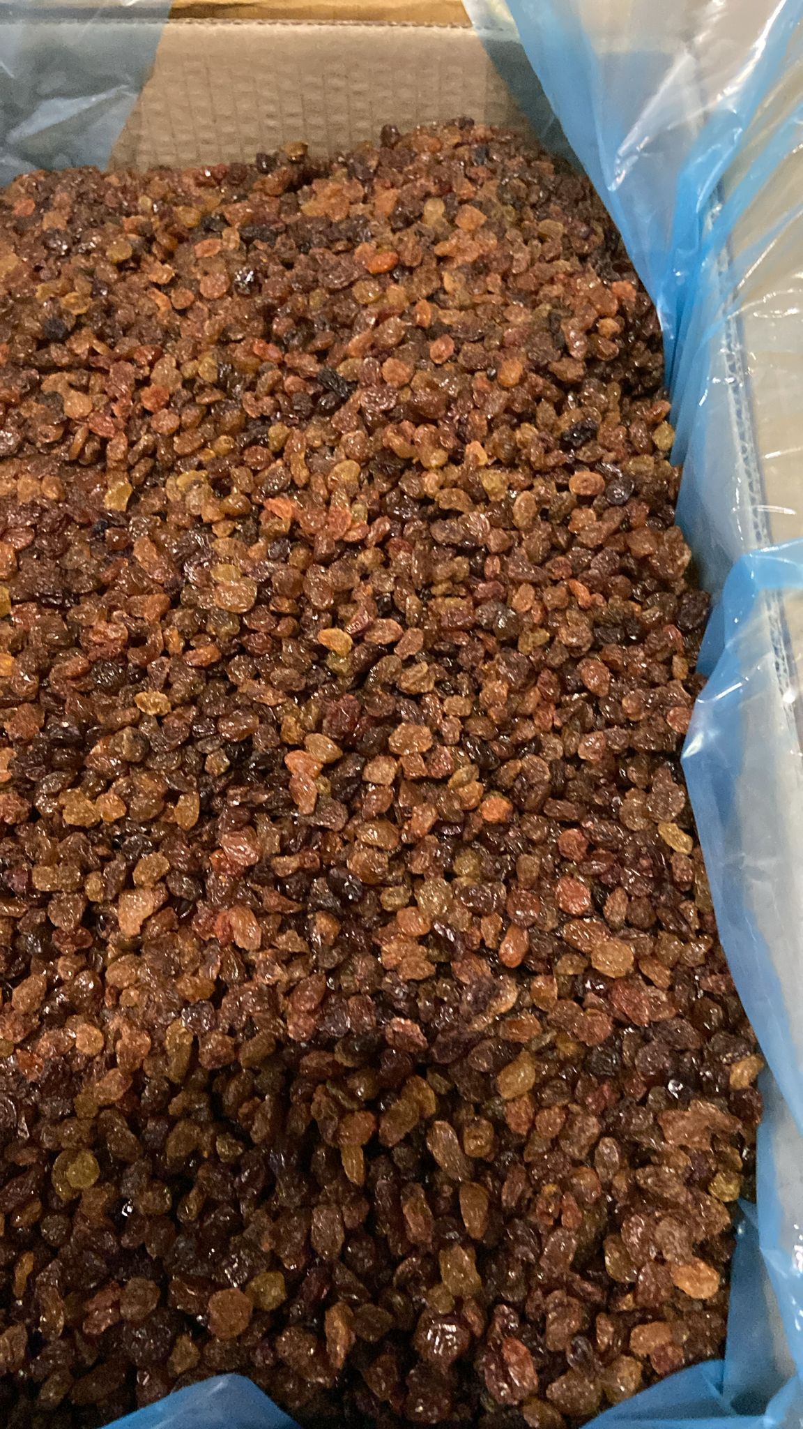 Iranische Sultaninen Kleinbeerig 12,5kg