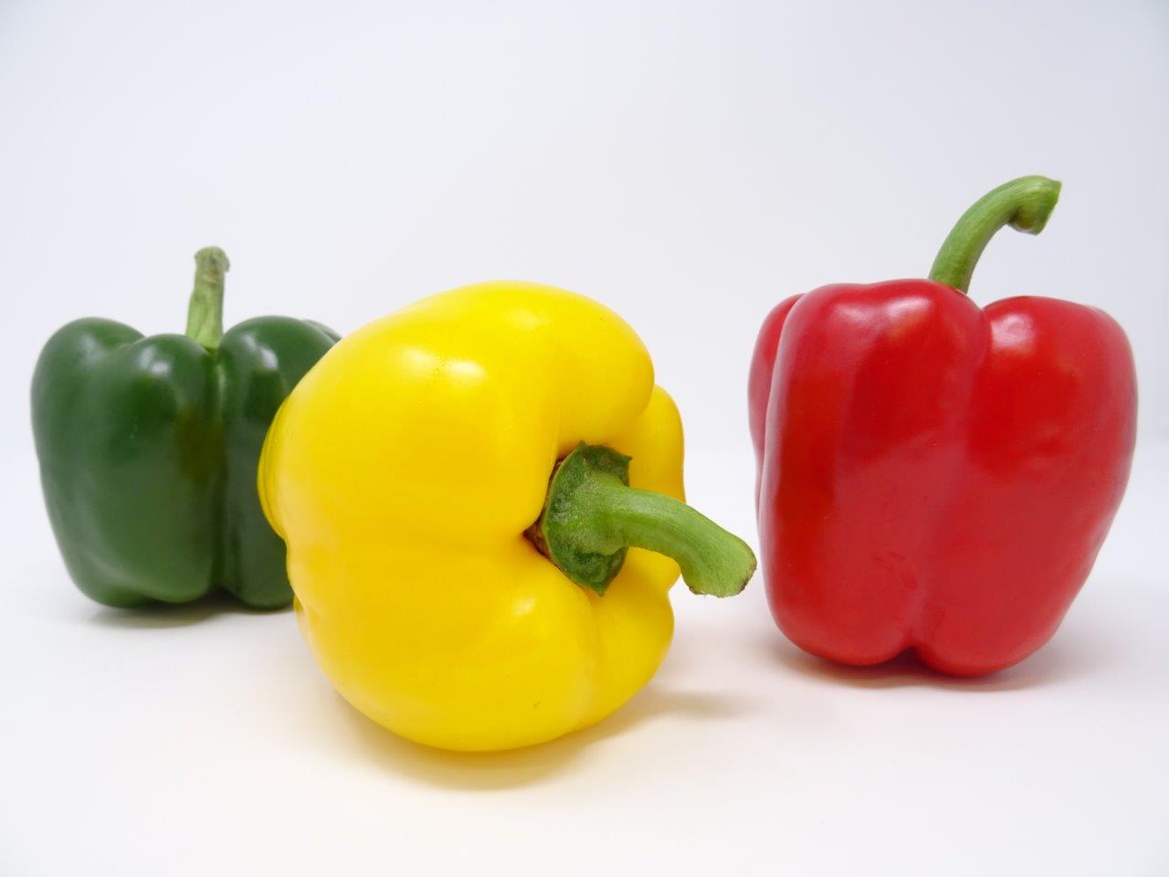 Frisch Paprika Mix Kg 69064 Backring Nord